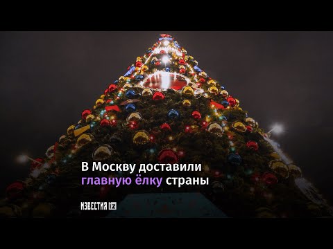 Главную елку доставили в Кремль