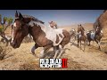 A MAIOR MIGRAÇÃO DE CAVALOS SELVAGENS ( 40 cavalos ) - Red Dead Redemption 2