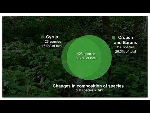 Floristic study: Decline in College Woods