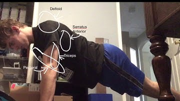 HOPE 2.04 muscular strength video