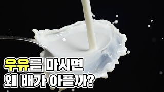 [1분] 우유 먹고 한 번이라도 배 아파본 사람