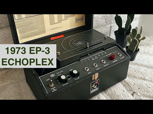 1973 Maestro EP-3 Echoplex Tape Delay - Quick Test - David Hislop