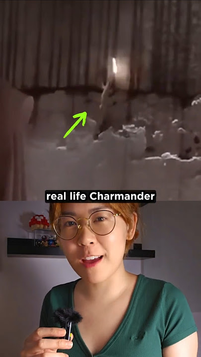 Did This Lizard Just Turn Into Charmander?