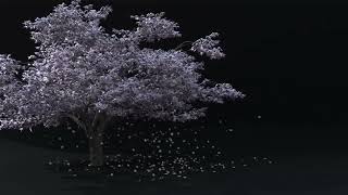 Houdini tree particles simulation