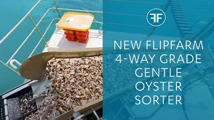 NEW! Flipfarm Oysters Sorter - another Flipfarm oyster revolution!