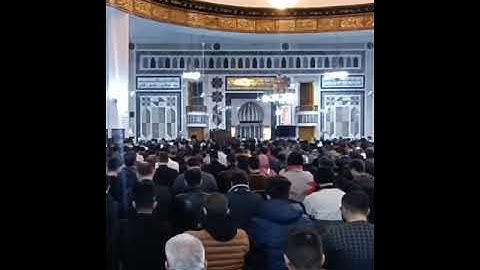 تلاوة عطرة لفضيلة الشيخ مصلح العلياني حفظه الله #مصلح_العلياني