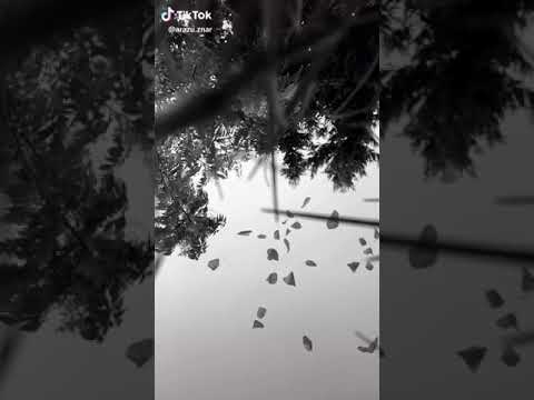 مرؤفةكان و ةك وةرز دةگؤرين رؤژيك و ةك ها وين گةرمن رؤژيك و ةك زستان ساردن