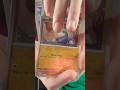 Ripping my first lightning pack with Isackrips #pokemon #pokemoncommunity #fyp