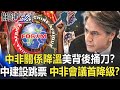 中非關係降溫美國背後捅刀！？中國建設跳票 中非合作會議首次降級！？【關鍵時刻】20211129-4 劉寶傑 黃世聰 吳子嘉 林廷輝 王瑞德 李正皓