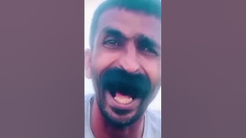 Meow fell asleep while waiting #callofdutymobile #codmobile #codm