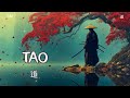 TAO Ethereal Japanese Zen Music For Flow Healing Inner Balance 