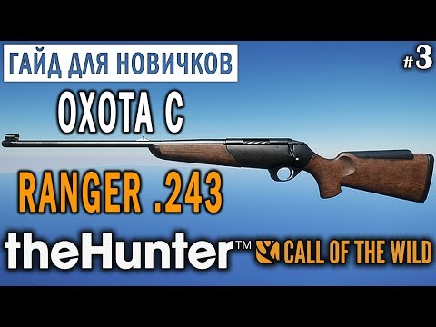 Видео: theHunter Call of the Wild #3 🔫 - Охота с Ranger .243 - ГАЙД для Начинающих