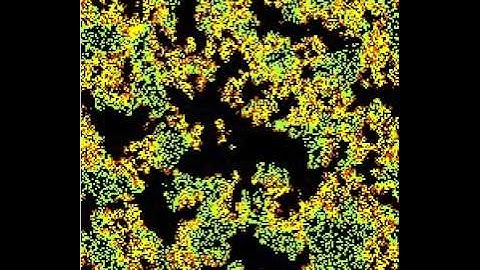 Colonies simulation with DDLab