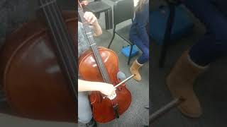 What Does The Cello Say?