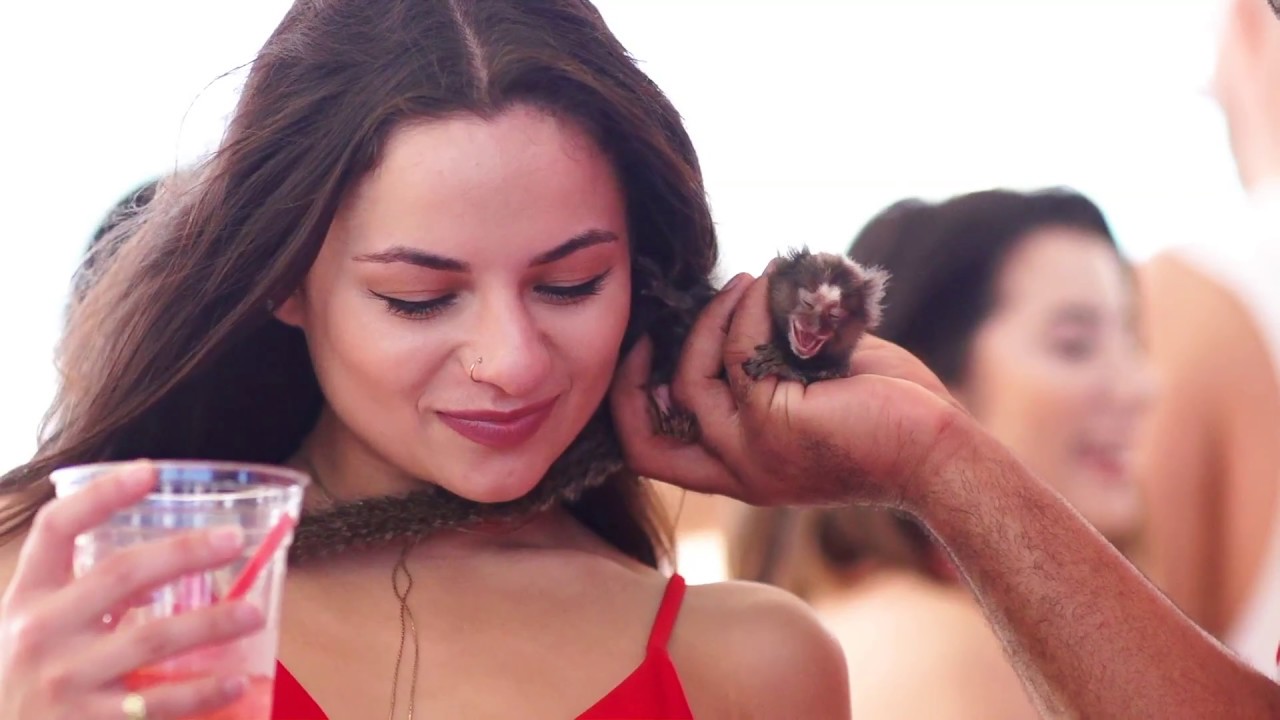 Model Volleyball Miami | Day 2