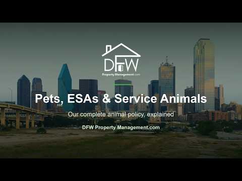 Pets, ESAs & Service Animals — The Complete Policy