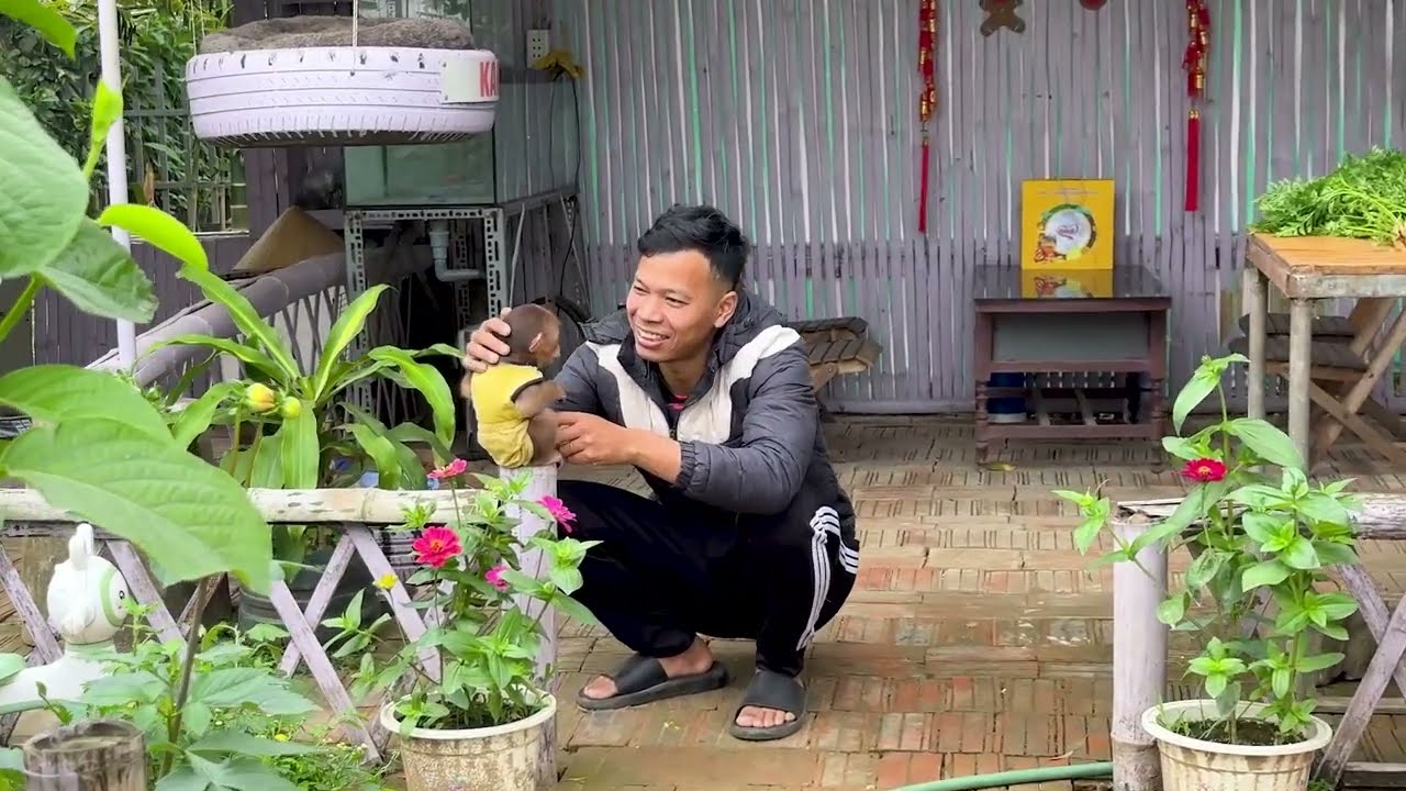 What Are Baby Monkey and Dad Doing While Mom Is Busy in the Garden?