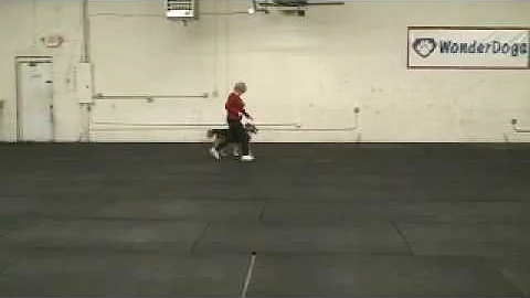 2009 11-29 Ann and Boozer YT Entry.avi