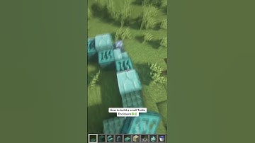 How to build a small turtle Enclosure 🍀🌿