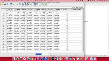 SPSS - Survey Analysis