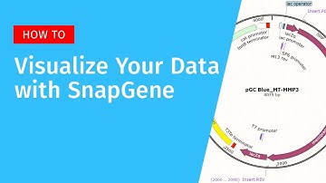 Visualize Your Data with SnapGene