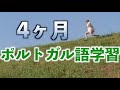 ブラジルポルトガル語を４ヶ月勉強してみて