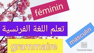 تعلم قواعد اللغة الفرنسية masculin et féminin en français المؤنث والمذكر بالفرنسية / la grammaire
