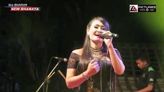 LANANG SEJATI # NEW BHARATA # LIVE BUARAN # BUNDA ASIH