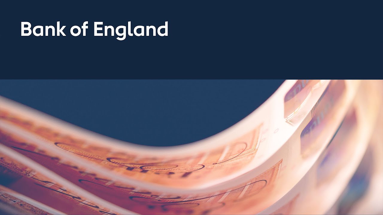 Opening remarks: Inflation Report Press Conference, February 2014