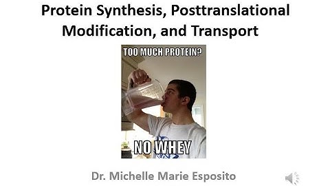BIO 367 Biochemistry Narrated Lesson on Protein Synthesis, Posttranslational Modification, Transport