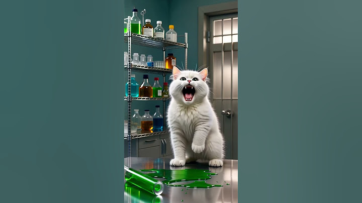 💥 Hulk Cat mindent összetör!
