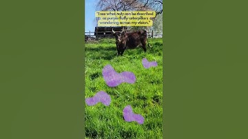 What Does Migraine With Aura Look Like?