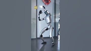 Chinese tech company Unitree