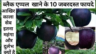 seb khane se kya hota hai सेब खाने के फायदे khali pet seb khane ke fayde 