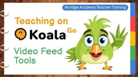 Koala Go tutorial: Video feed tools