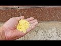 灭蚂蚁千万别用药 家里角落撒一把 隔天连窝一起端 土方法抓紧试试 灭蚂蚁千万别用药 家里角落撒一把 隔天连窝一起端 土方法抓紧试试