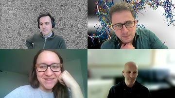 "Can connectomics help us understand the brain and sustain the revolution in AI?" - Discussion + Q&A