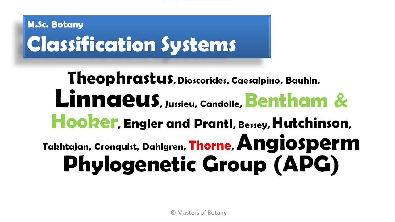 Classification System |  Plant Taxonomy | Linnaeus | Bentham & Hooker