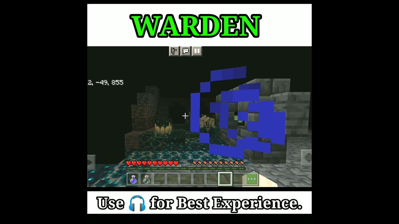 Warden (Origin) in Minecraft 1.19 