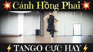 CÁNH HỒNG PHAI💥 - TANGO💥 / Leo demo (BÀI HƯỚNG DẪN BẤM🔽)