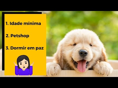 Vídeo: Por que essa história do cão policial é tão importante?