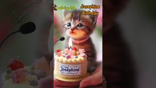 Josephine Birthday Happy Birthday Song With Names Adorable Cute Cat