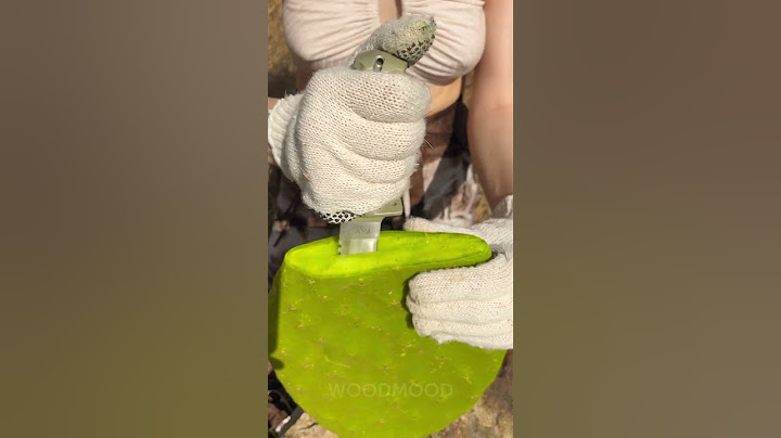 Desert Survival Hack 🌵 How to Make a Cactus Water Flask!
