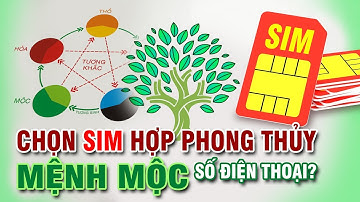 Chọn SIM PHONG THỦY Hợp MỆNH MỘC | Hướng Dẫn Cách Chọn Số Điện Thoại Hợp Tuổi Để Gặp May Mắn
