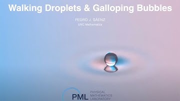 Pedro J. Saenz: Walking Droplets and Galloping Bubbles