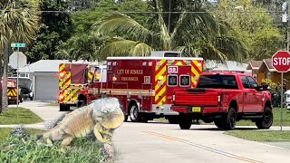 .22 Cal Break Barrel Air Gun iguana removal house jobs! How to catch iguanas in Florida
