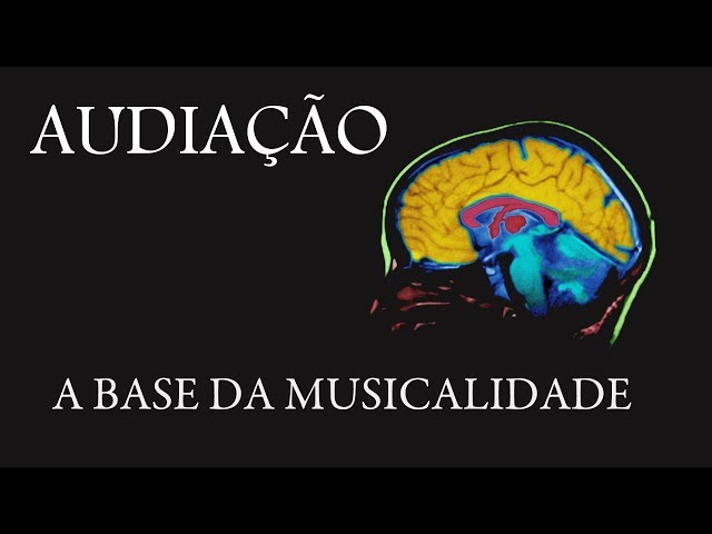 Audiaçao - A base da musicalidade class=