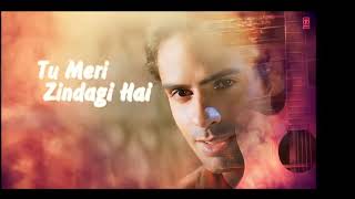 Tu Meri Zindagi Hai / Kumar Sanu/ Anuradha Paudwal (Movie -Aashiqui)
