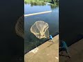 Wow magnet fishing around the  river got a lot of fish