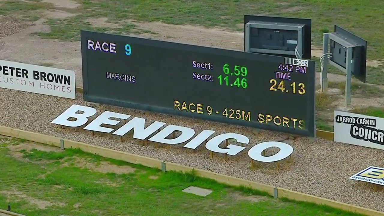 【早い者勝】LANGE RACE PERFORMANCE130　26.5　306 ヨドバシ.com - ラング LANGE RS 130 LV LBN1030W-265 VIBRANT BLUE